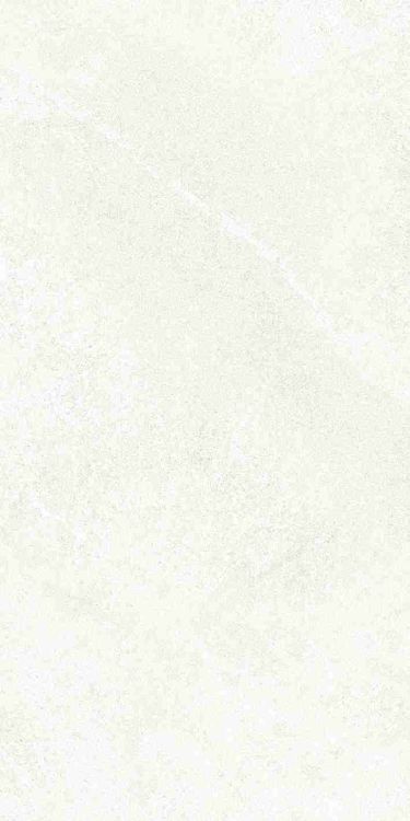Dhara White Matte 12 x 24